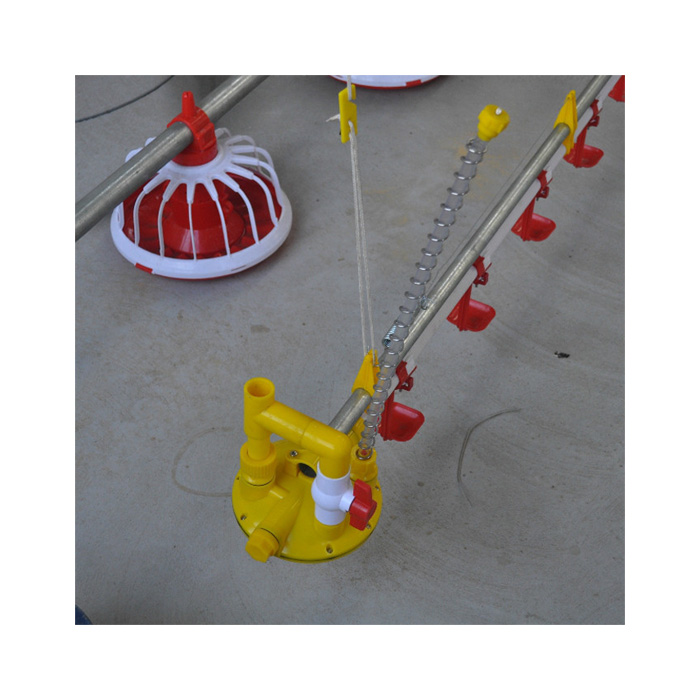 China Poultry Houses Automatic Feeding and Drinking System Automatic ...